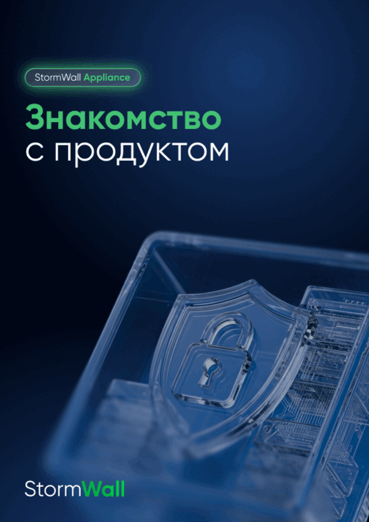 Знакомство с продуктом StormWall Appliance