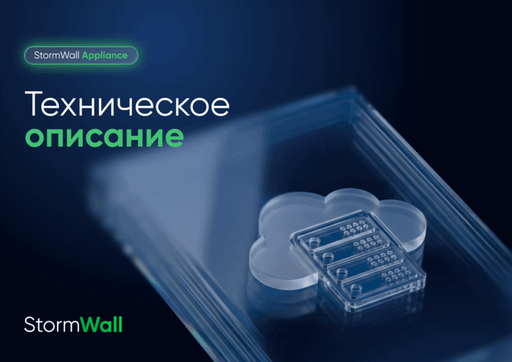 Техническое описание StormWall Appliance